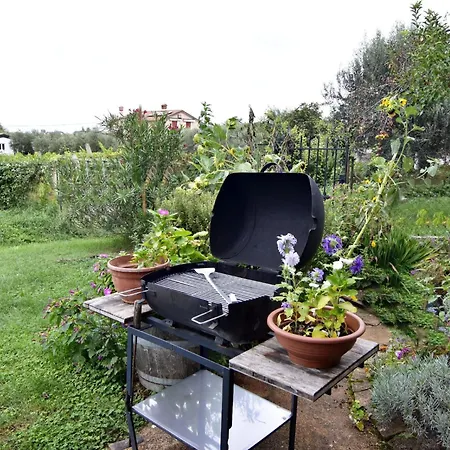 Grosse In Babici Mit Garten Und Terrasse By Interhome Umag