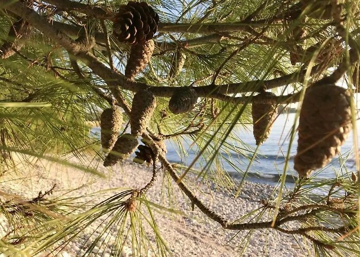 Διαμέρισμα Grosse In Babici Mit Garten Und Terrasse By Interhome